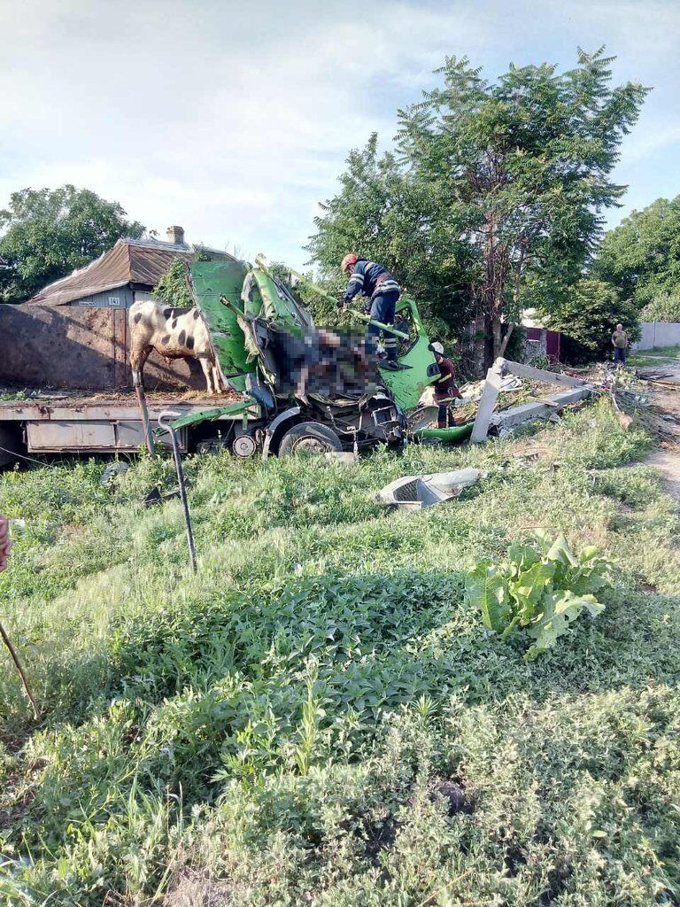 Загинули всі тварини