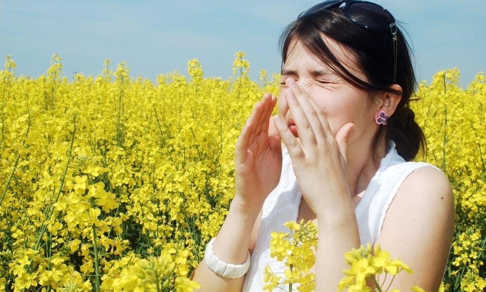 Сезонна алергія: лікар розповів, хто в групі ризику