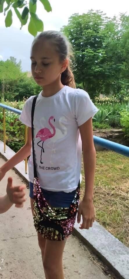 Даша в день исчезновения была одета в футболку с фламинго