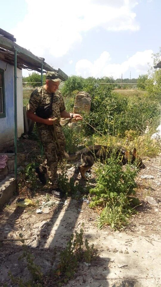 Поиски Даши Лукьяненко