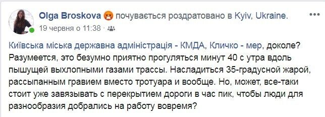 В Киеве в час пик перекрыли трассу: люди пешком добирались до метро. Видео