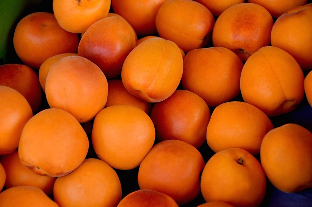 Что приготовить из абрикосов? Рецепты от шеф-повара, которые вас удивят