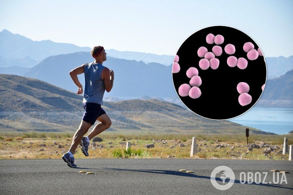 У кишечнику спортсменів містяться спеціальні бактерії