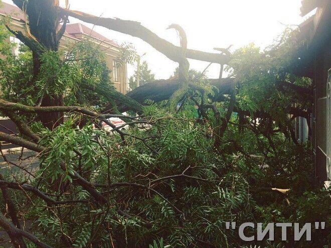 На Одесщину обрушился мощный ураган: устрашающие фото