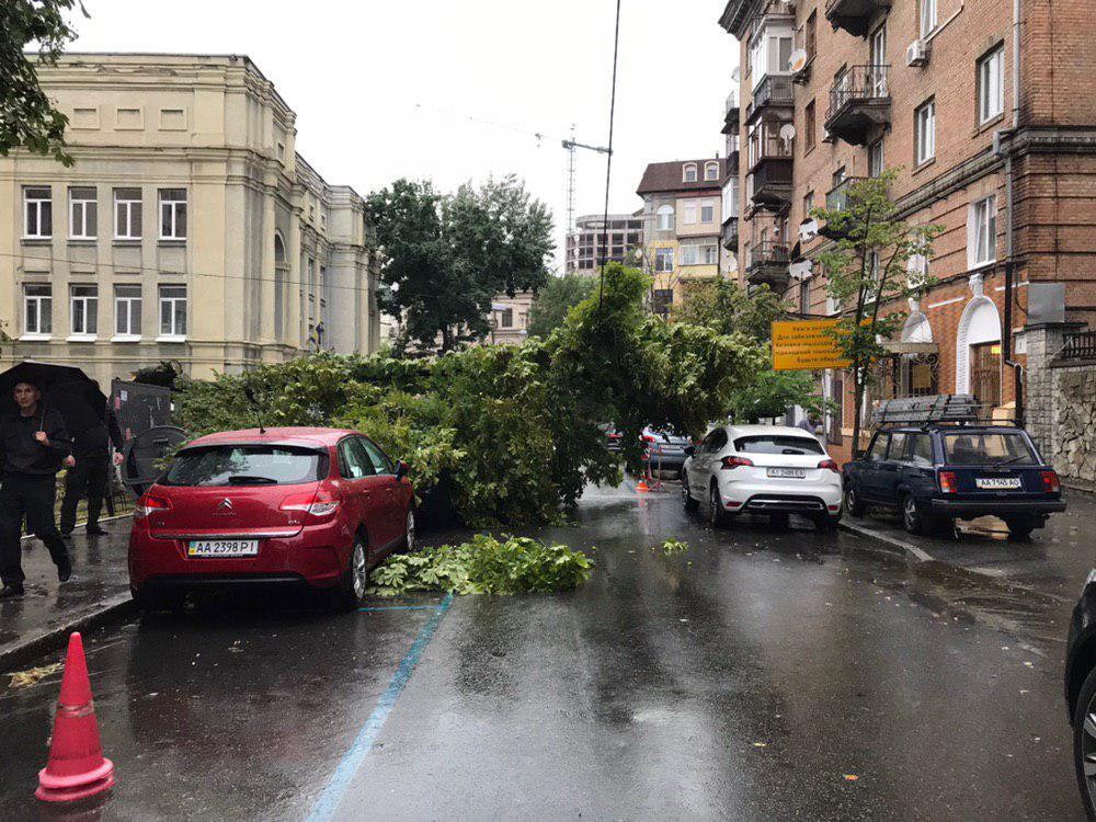 Последствия урагана в Киеве