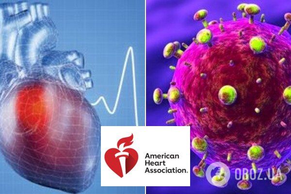ВИЧ увеличивает риск заболеваний сердца