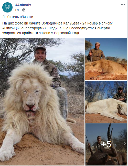 Владимир Кальцев позирует с убитыми животными