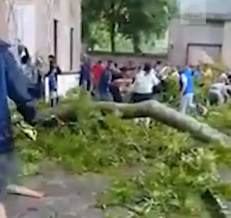 В Азербайджані гілка 500-річного дерева впала на людей: багато поранених. Відео