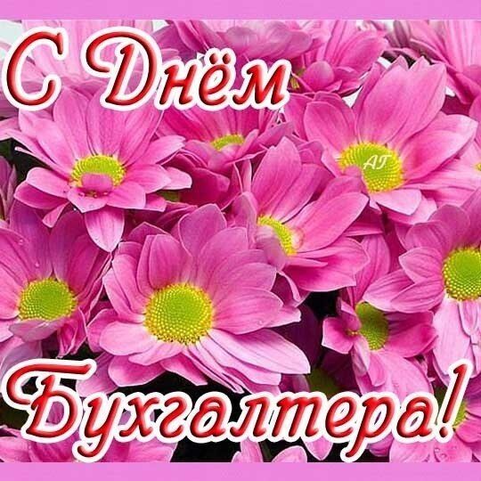 День бухгалтера 2019: оригінальні привітання та листівки