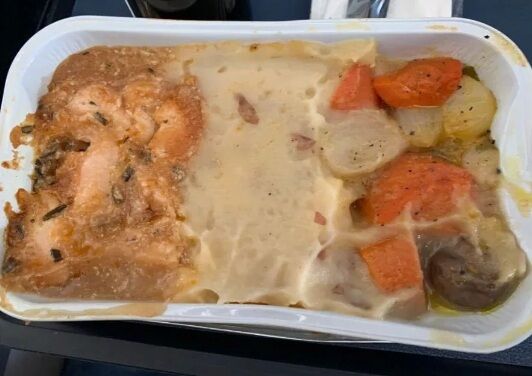 Пассажира ужаснуло блюдо в самолете
