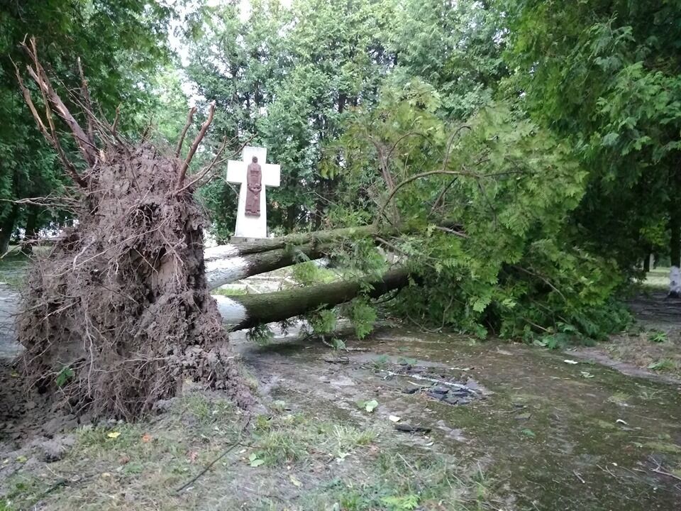 Украиной пронесся мощный ураган. Заречное