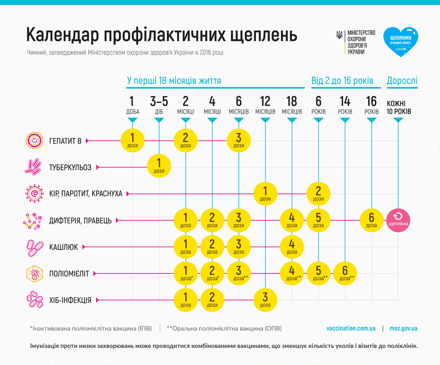 Календарь обязательных прививок