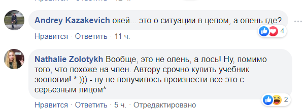 "Схожий на Путіна": в Білорусі підняли на сміх логотип міста з пікантним підтекстом