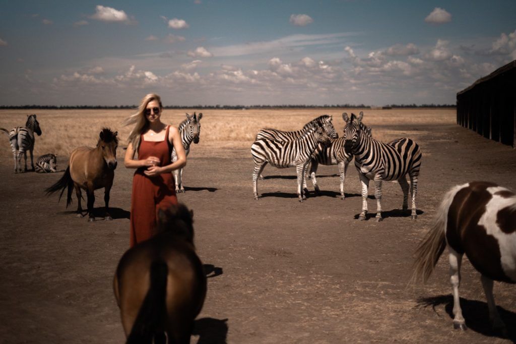 Рожеві озера, зебри і пустеля: блогер показала неймовірні місця в Україні