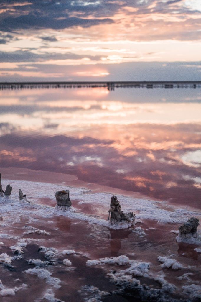 Рожеві озера, зебри і пустеля: блогер показала неймовірні місця в Україні