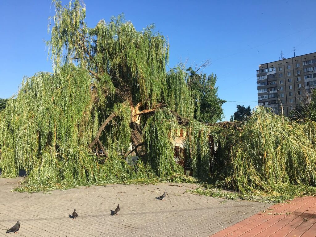 Зносило дахи, падали дерева: у Дніпрі пройшов потужний ураган