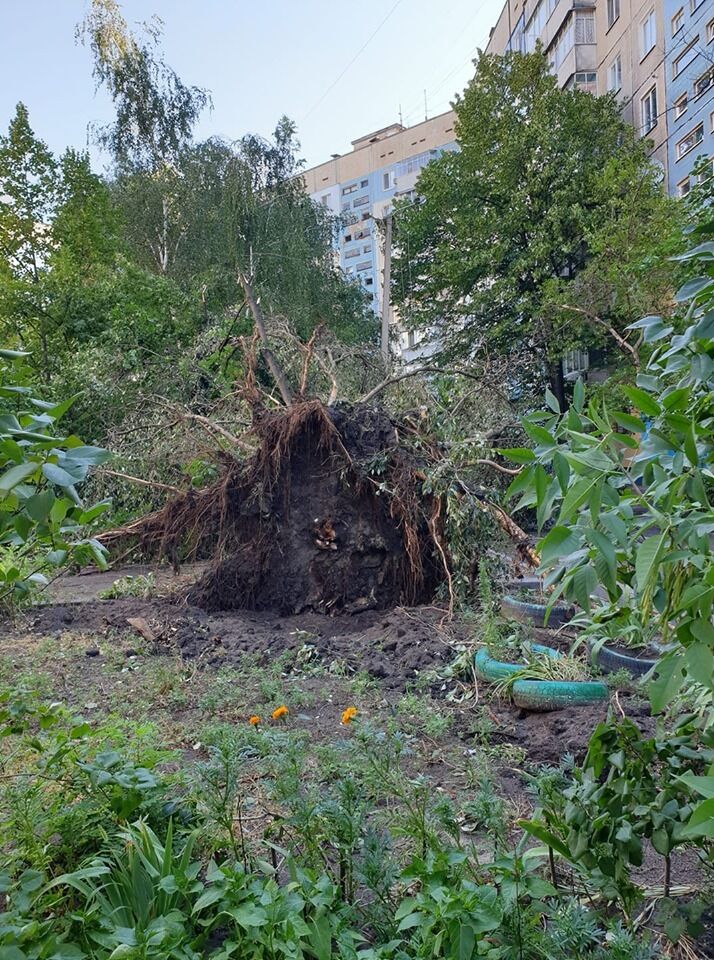 Зносило дахи, падали дерева: у Дніпрі пройшов потужний ураган