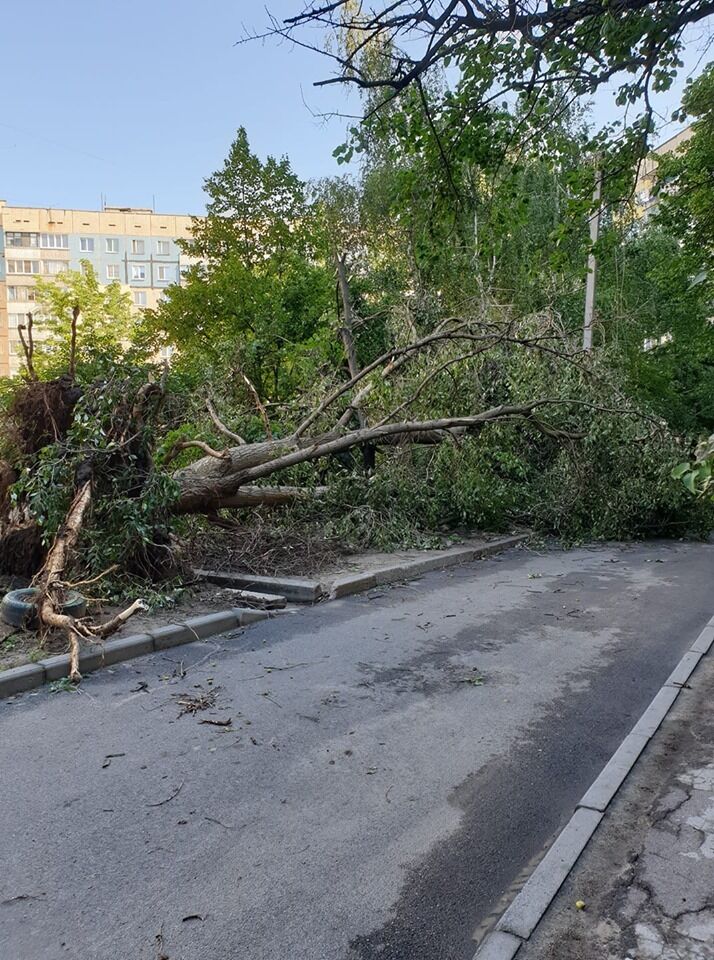 Сносило крыши, падали деревья: в Днепре прошел мощный ураган