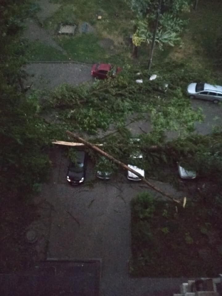 Зносило дахи, падали дерева: у Дніпрі пройшов потужний ураган
