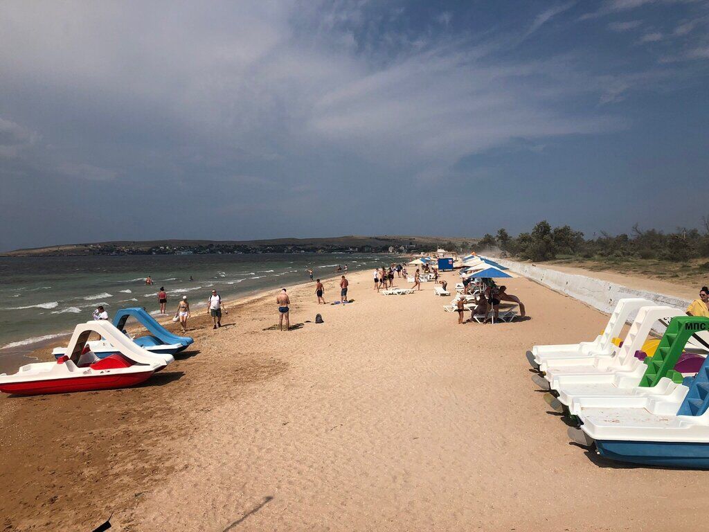 У Криму показали тисячі мертвих медуз і спорожнілі пляжі: фото