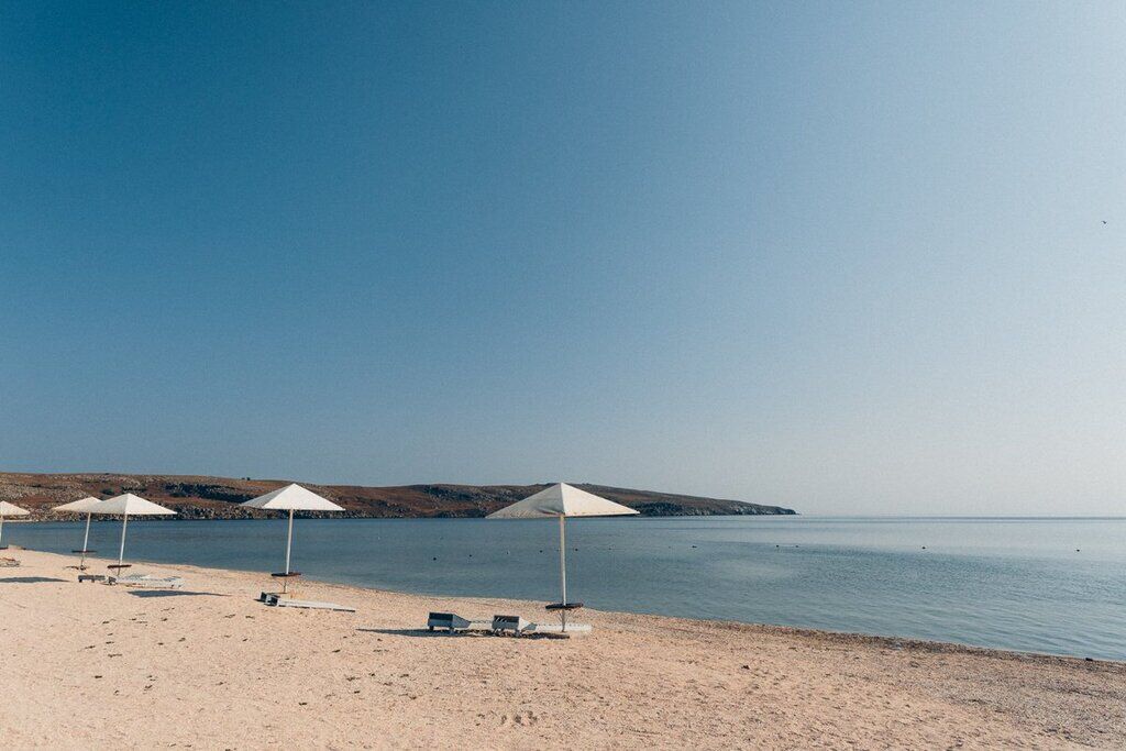 В Крыму показали тысячи мертвых медуз и опустевшие пляжи: фото