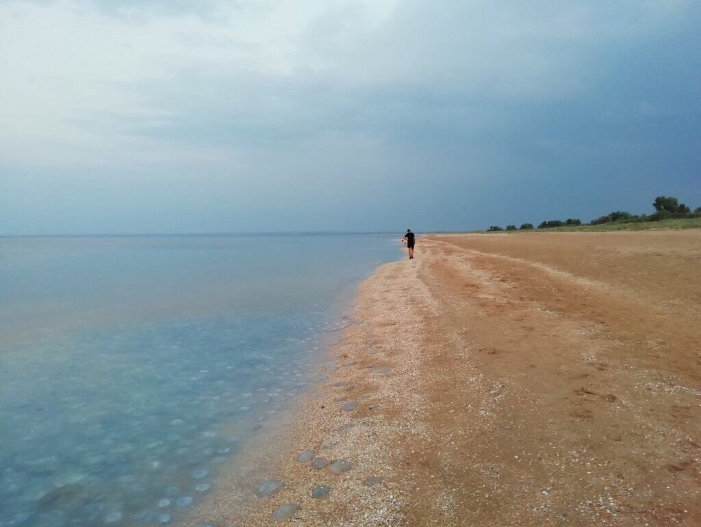 В Крыму показали тысячи мертвых медуз и опустевшие пляжи: фото