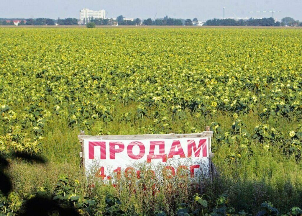 Економіст порадив не поспішати з продажем землі в Україні
