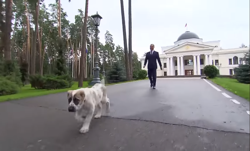 "Кому на Руси жить хорошо?" Медведев разозлил сеть видео из своей резиденции