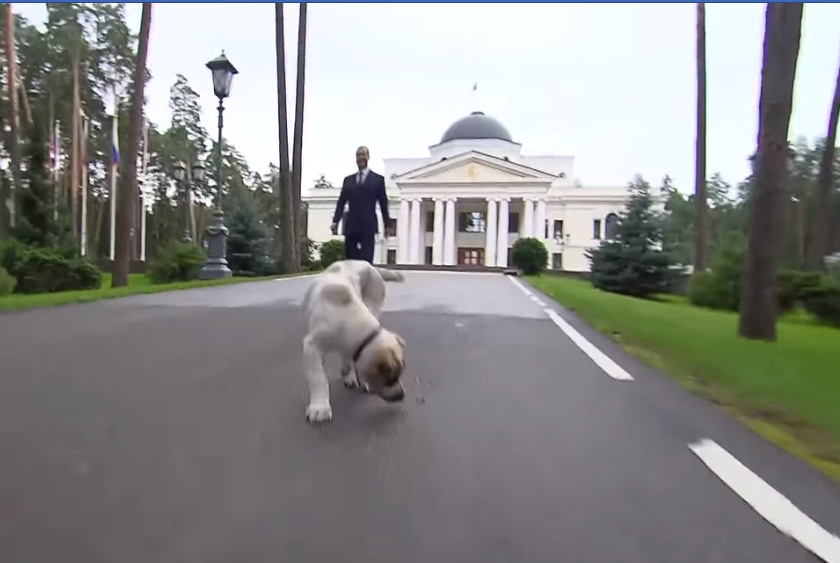 "Кому на Руси жить хорошо?" Медведев разозлил сеть видео из своей резиденции