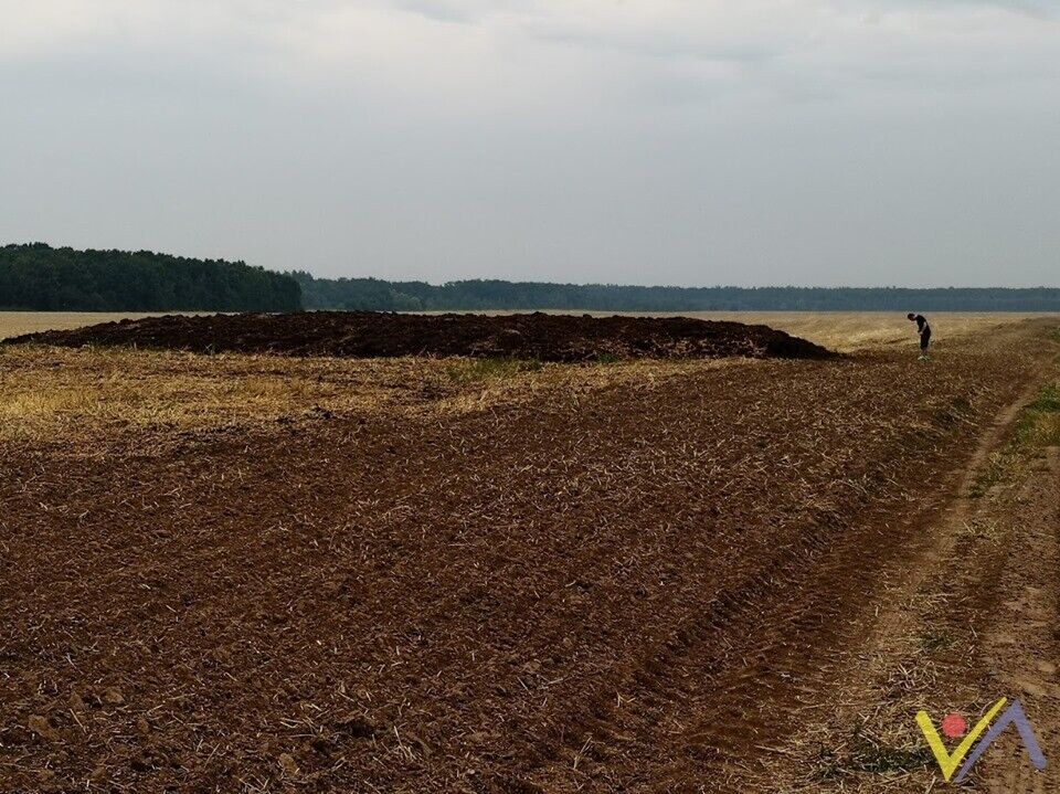 Поля навколо села Велика Стариця перетворили в "могильники"