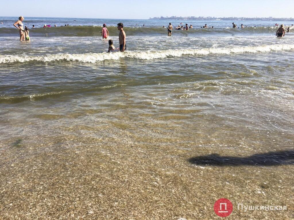 В Одессе почернело море