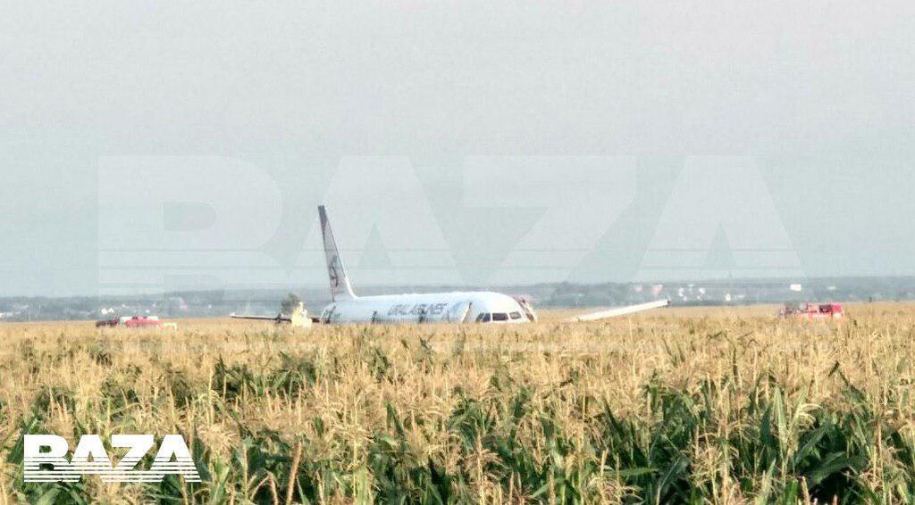 Летевший в Крым самолет загорелся и сел среди поля: десятки пострадавших