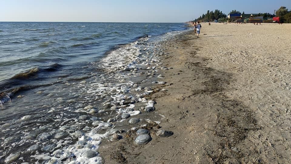 "Море ушло": на популярном курорте Украины наметилась катастрофа. Фото и видео