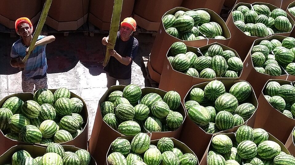 В городе Переяслав-Хмельницкий разгрузили баржу с 400 тоннами арбузов