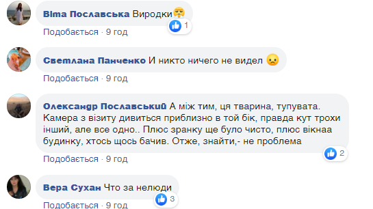 "Що за нелюди!" На Житомирщині спотворили новий пам'ятник воїнам України