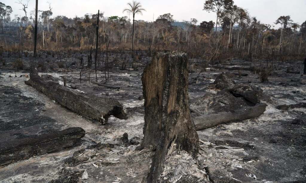 Масштабные пожары в Бразилии