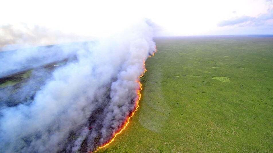 Масштабні пожежі в Бразилії