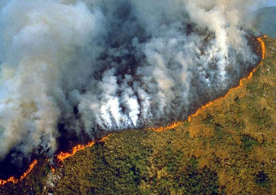 Масштабні пожежі в Бразилії