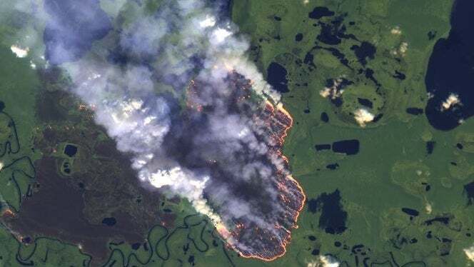 Масштабные пожары в Бразилии