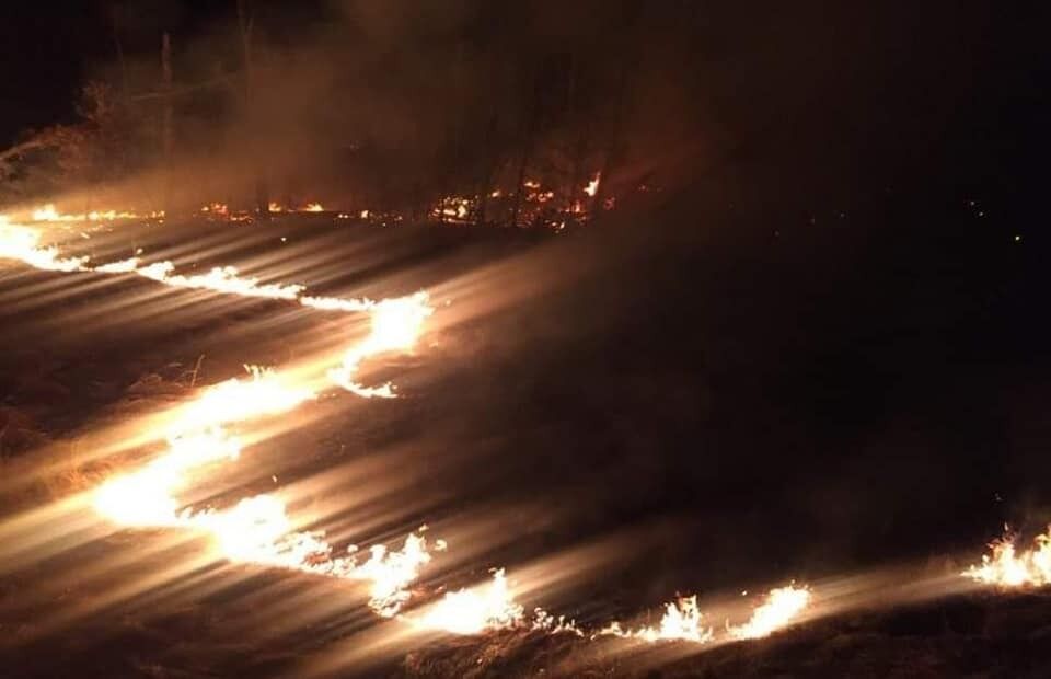 На Закарпатье мощный пожар подобрался к лесу: фото огненного Армагеддона