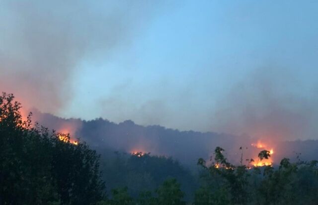 На Закарпатті потужна пожежа підібралася до лісу: фото вогняного Армагеддону
