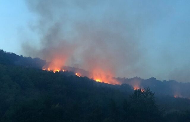 На Закарпатті потужна пожежа підібралася до лісу