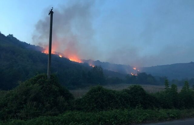 На Закарпатье мощный пожар подобрался к лесу: фото огненного Армагеддона