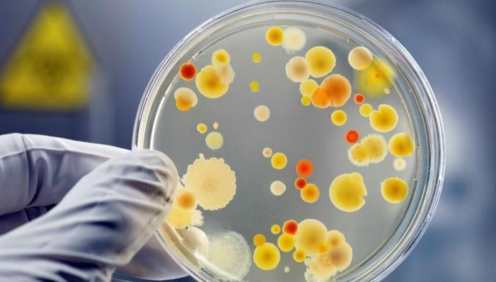 Ученые назвали новый фактор устойчивости ''супербактерий''