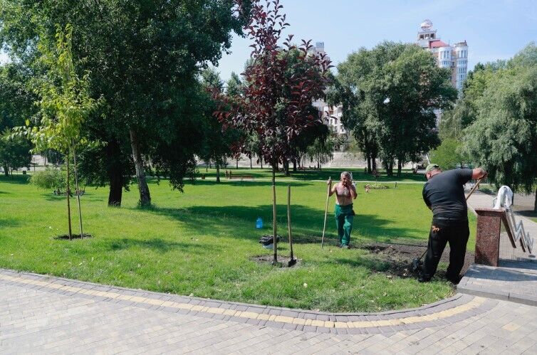 Реконструкция парка "Наталка"