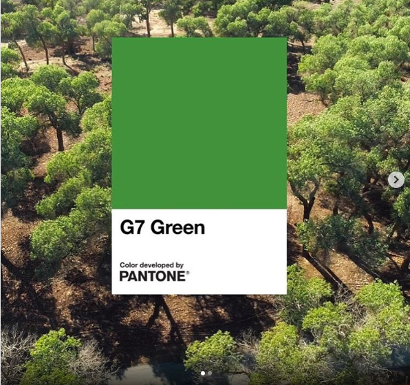 Pantone 2020: самые модные цвета сезона весна – лето