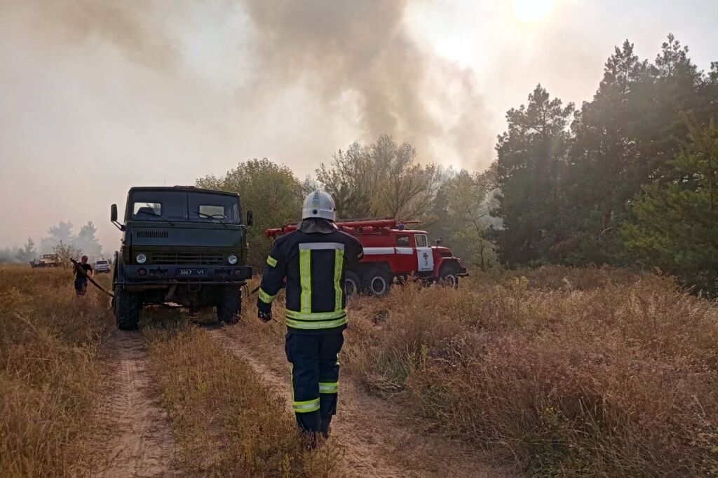 У Петриківському районі спалахнула масштабна лісова пожежа