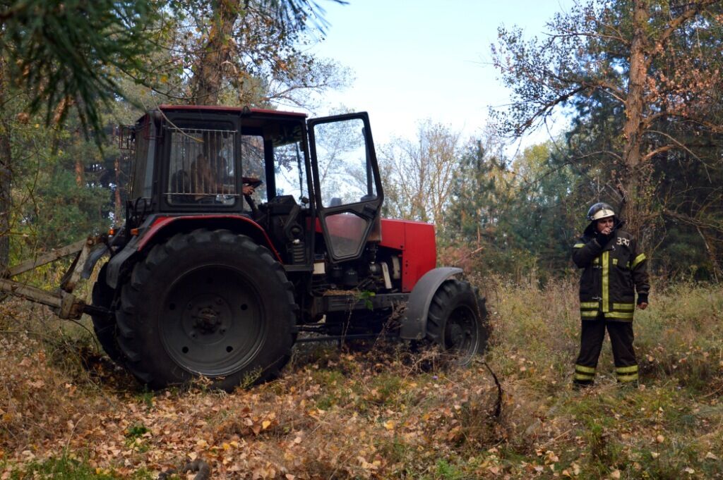 У Петриківському районі спалахнула масштабна лісова пожежа