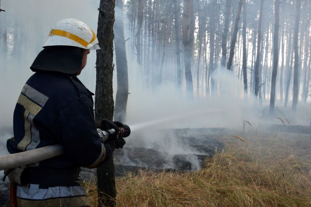 В Петриковском районе вспыхнул масштабный лесной пожар