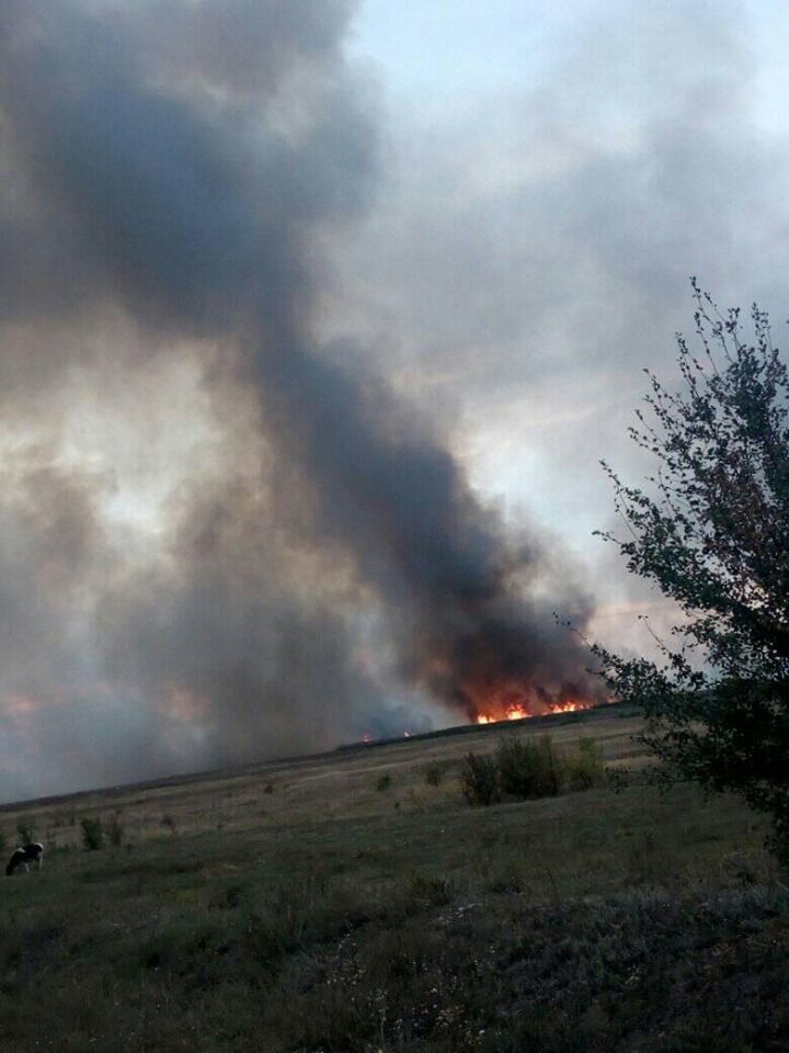 Днепропетровщина в огне: в сети появились жуткие фото масштабного лесного пожара